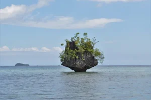 Islands and clear water in Raja Ampat Papua