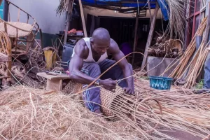 Cane furniture maker at work